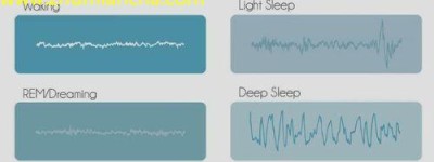 夜的沉思：探索脑波与失眠的秘密
